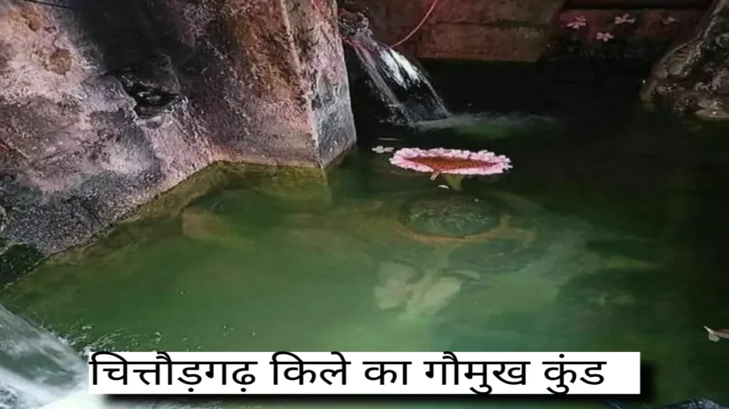 चित्तौड़गढ़ किले का इतिहास